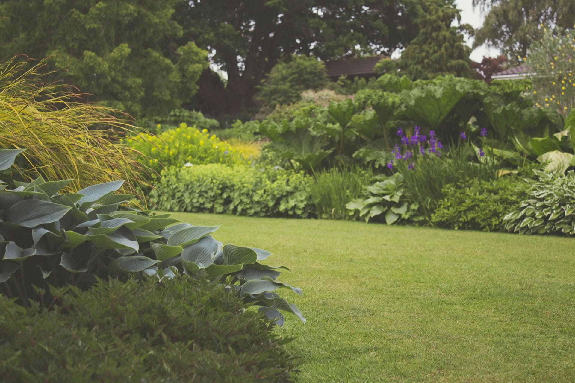 Lush green garden maintained with proper irrigation